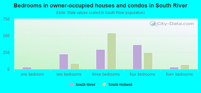 Bedrooms in owner-occupied houses and condos in South River
