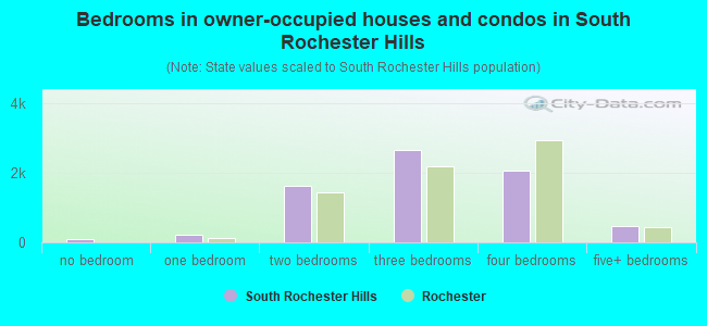 Bedrooms in owner-occupied houses and condos in South Rochester Hills