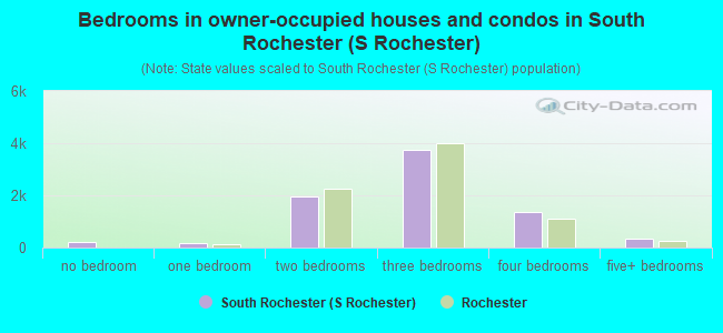 Bedrooms in owner-occupied houses and condos in South Rochester (S Rochester)