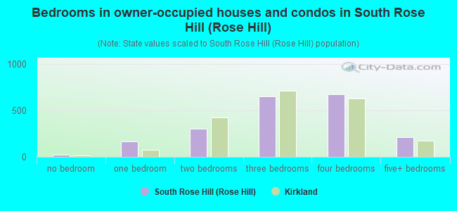 Bedrooms in owner-occupied houses and condos in South Rose Hill (Rose Hill)