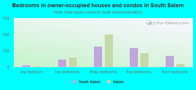 Bedrooms in owner-occupied houses and condos in South Salem