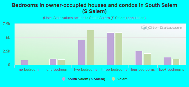 Bedrooms in owner-occupied houses and condos in South Salem (S Salem)