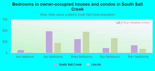 Bedrooms in owner-occupied houses and condos in South Salt Creek