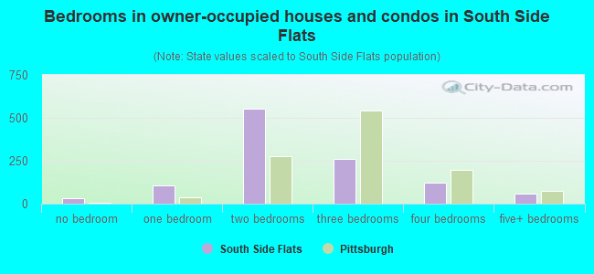 Bedrooms in owner-occupied houses and condos in South Side Flats