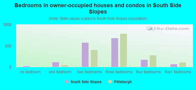 Bedrooms in owner-occupied houses and condos in South Side Slopes