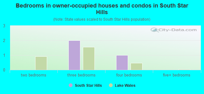 Bedrooms in owner-occupied houses and condos in South Star Hills