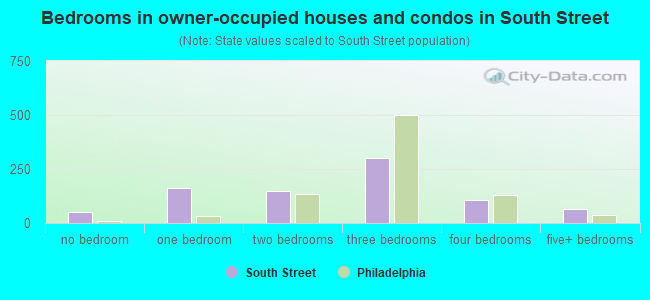 Bedrooms in owner-occupied houses and condos in South Street