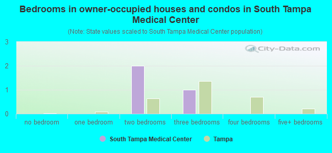 Bedrooms in owner-occupied houses and condos in South Tampa Medical Center