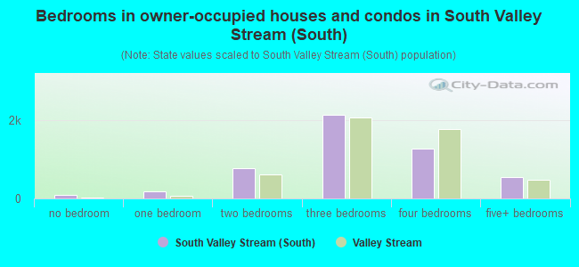 Bedrooms in owner-occupied houses and condos in South Valley Stream (South)