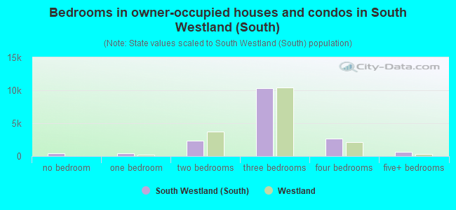 Bedrooms in owner-occupied houses and condos in South Westland (South)