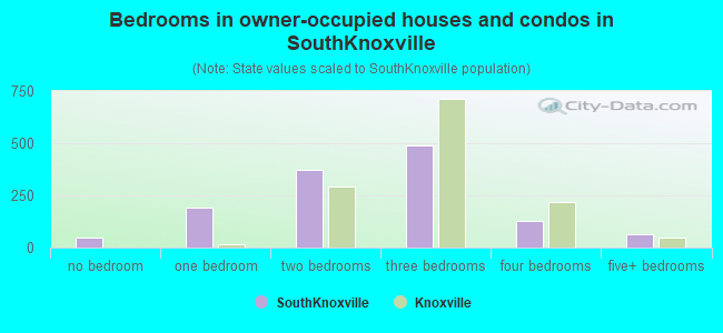 Bedrooms in owner-occupied houses and condos in SouthKnoxville