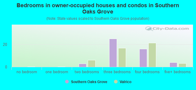 Bedrooms in owner-occupied houses and condos in Southern Oaks Grove