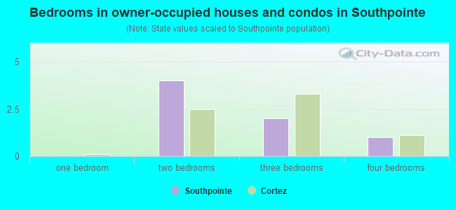 Bedrooms in owner-occupied houses and condos in Southpointe