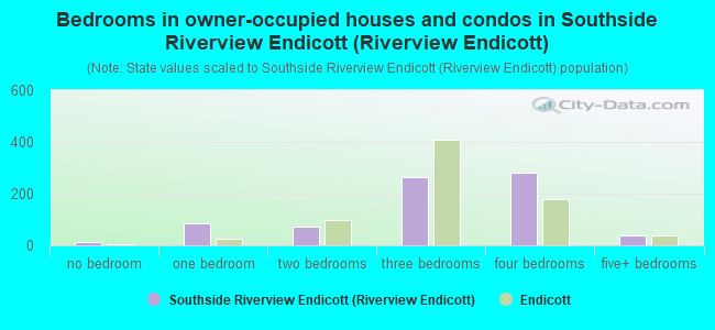 Bedrooms in owner-occupied houses and condos in Southside Riverview Endicott (Riverview Endicott)