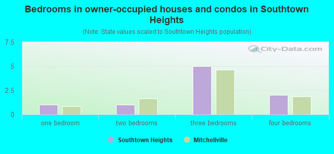 Bedrooms in owner-occupied houses and condos in Southtown Heights
