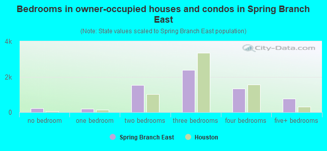 Bedrooms in owner-occupied houses and condos in Spring Branch East