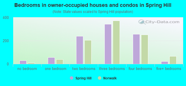 Bedrooms in owner-occupied houses and condos in Spring Hill