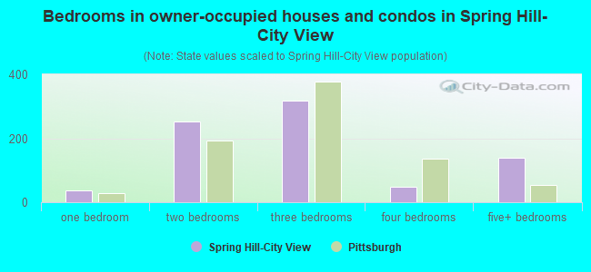 Bedrooms in owner-occupied houses and condos in Spring Hill-City View