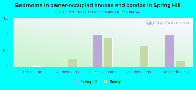Bedrooms in owner-occupied houses and condos in Spring Hill