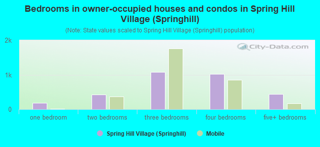 Bedrooms in owner-occupied houses and condos in Spring Hill Village (Springhill)