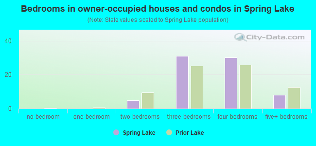 Bedrooms in owner-occupied houses and condos in Spring Lake