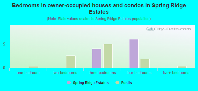 Bedrooms in owner-occupied houses and condos in Spring Ridge Estates