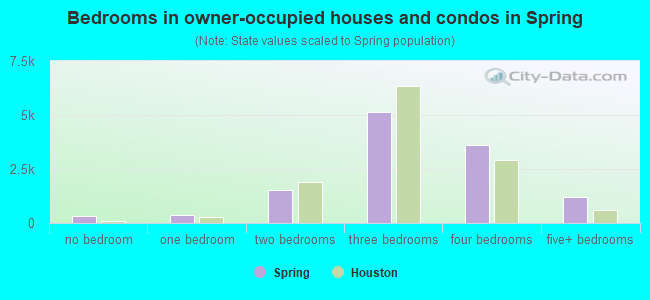 Bedrooms in owner-occupied houses and condos in Spring