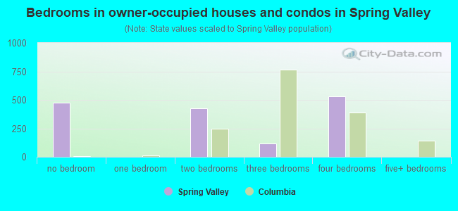 Bedrooms in owner-occupied houses and condos in Spring Valley
