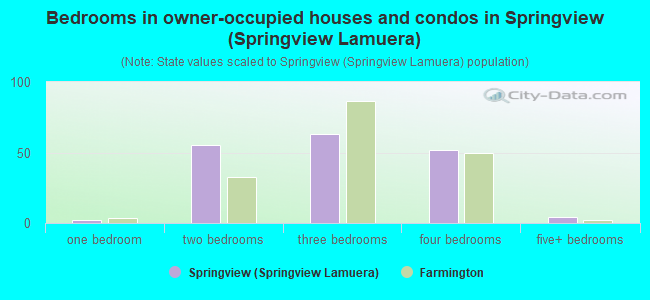 Bedrooms in owner-occupied houses and condos in Springview (Springview Lamuera)