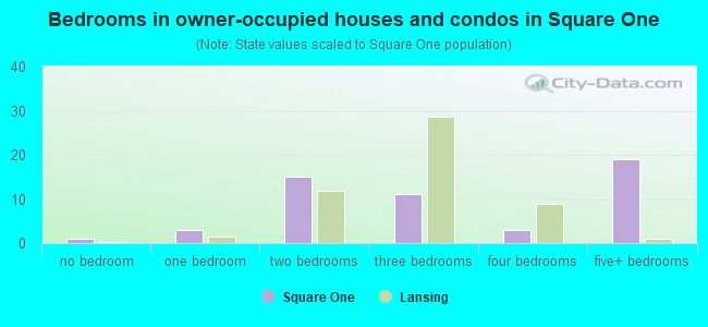 Bedrooms in owner-occupied houses and condos in Square One