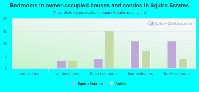 Bedrooms in owner-occupied houses and condos in Squire Estates