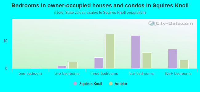 Bedrooms in owner-occupied houses and condos in Squires Knoll