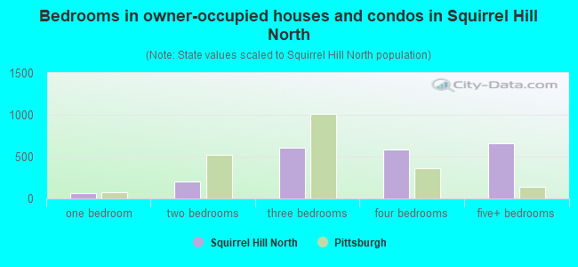 Bedrooms in owner-occupied houses and condos in Squirrel Hill North