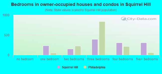 Bedrooms in owner-occupied houses and condos in Squirrel Hill