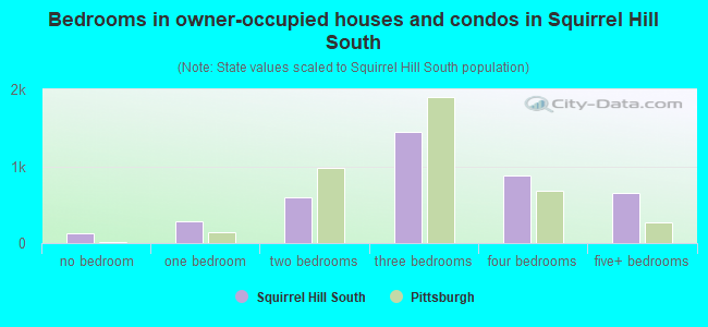 Bedrooms in owner-occupied houses and condos in Squirrel Hill South