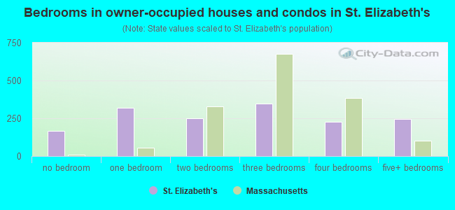 Bedrooms in owner-occupied houses and condos in St. Elizabeth's