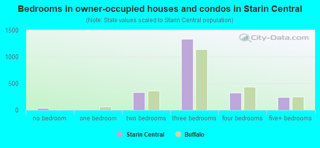 Bedrooms in owner-occupied houses and condos in Starin Central
