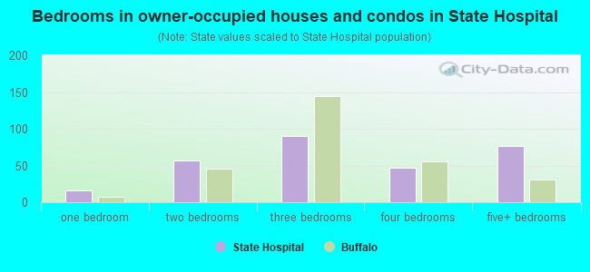 Bedrooms in owner-occupied houses and condos in State Hospital