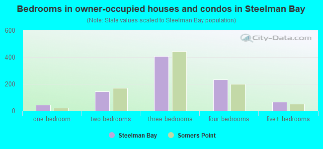 Bedrooms in owner-occupied houses and condos in Steelman Bay