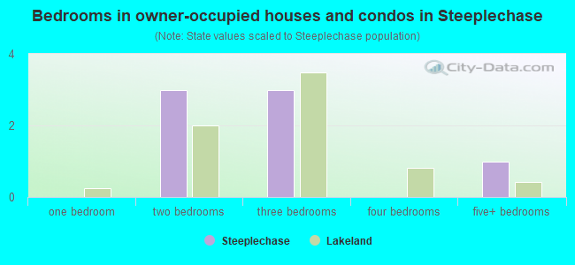 Bedrooms in owner-occupied houses and condos in Steeplechase