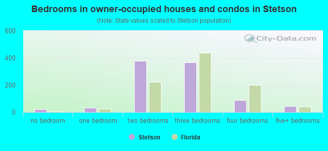 Bedrooms in owner-occupied houses and condos in Stetson