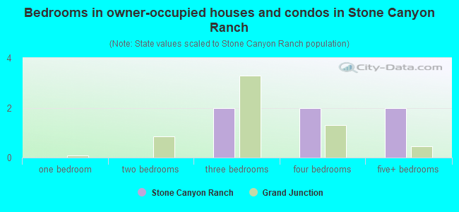 Bedrooms in owner-occupied houses and condos in Stone Canyon Ranch