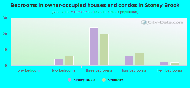 Bedrooms in owner-occupied houses and condos in Stoney Brook