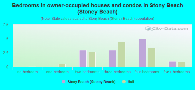 Bedrooms in owner-occupied houses and condos in Stony Beach (Stoney Beach)