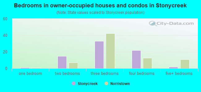 Bedrooms in owner-occupied houses and condos in Stonycreek