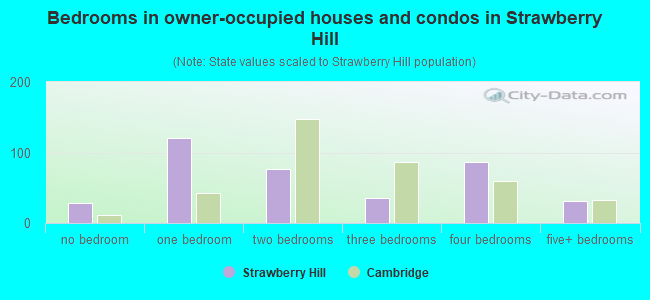 Bedrooms in owner-occupied houses and condos in Strawberry Hill