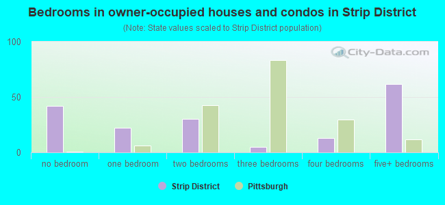 Bedrooms in owner-occupied houses and condos in Strip District