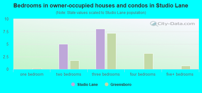 Bedrooms in owner-occupied houses and condos in Studio Lane