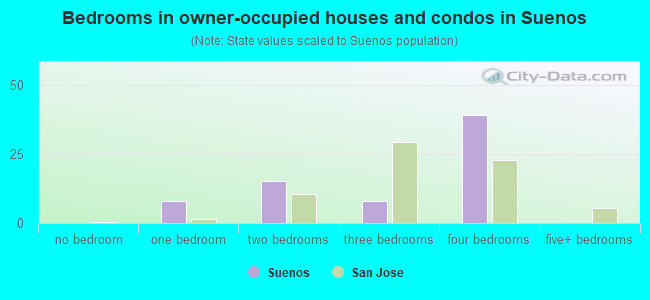 Bedrooms in owner-occupied houses and condos in Suenos