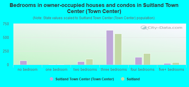 Bedrooms in owner-occupied houses and condos in Suitland Town Center (Town Center)